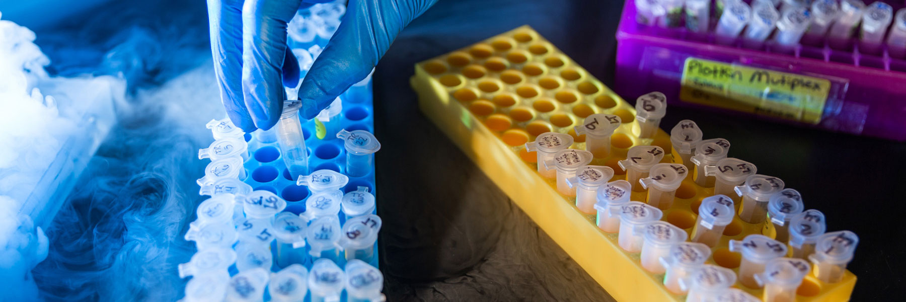 A gloved hand is picking up a microcentrifuge tube from a tube rack.