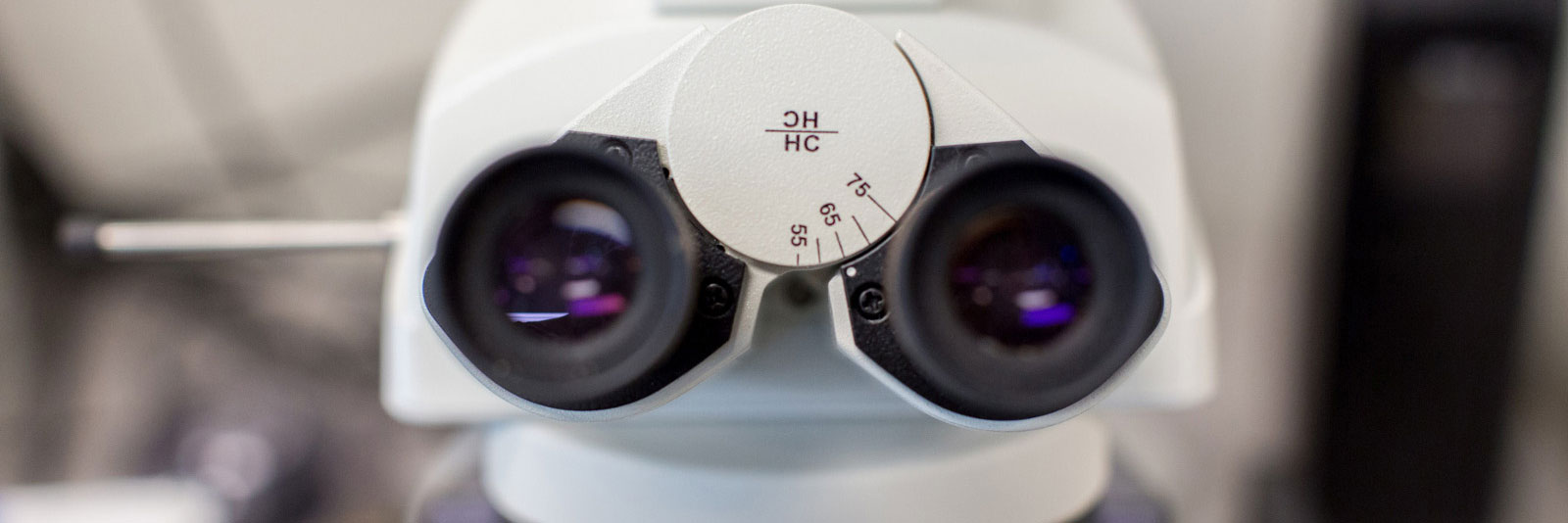 Closeup view of eyepieces on a compound microscope