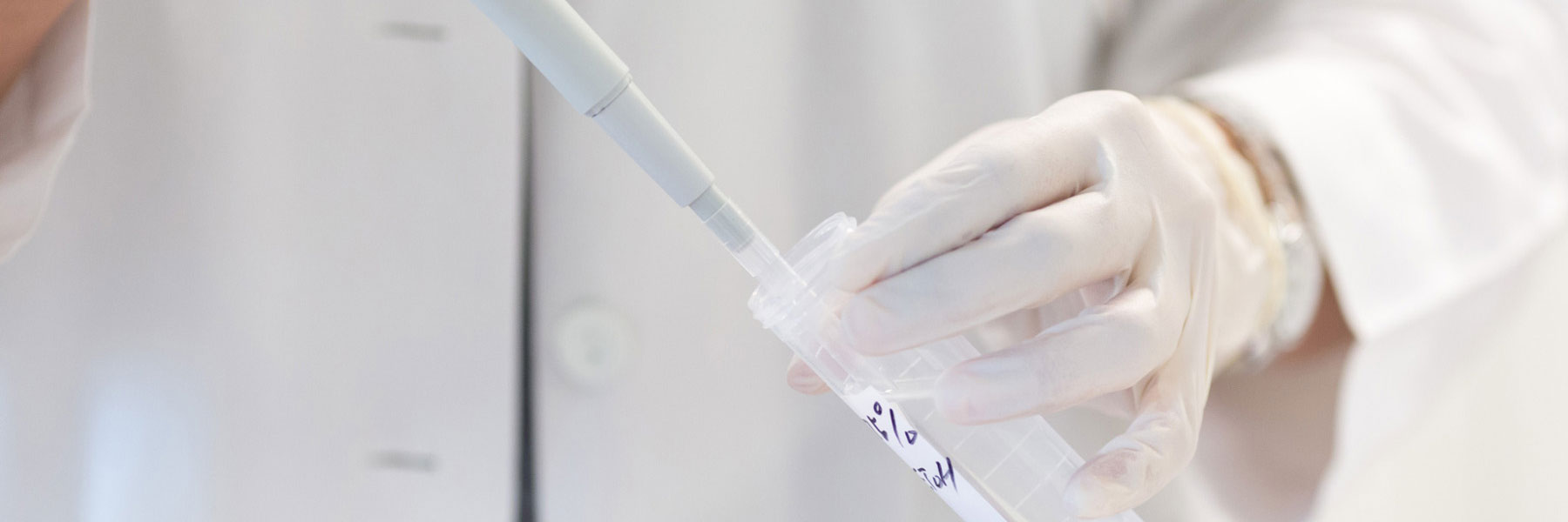 A person dispenses liquid from an automatic pipette to a centrifuge tube